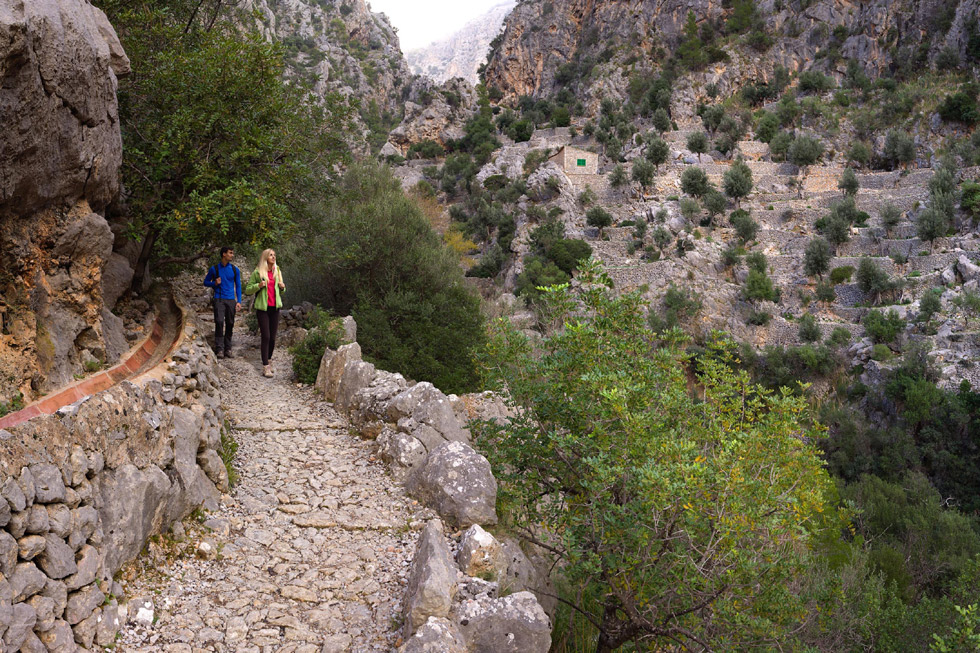 Barranco de Biniariaix. ©Consorci Serra de Tramuntana